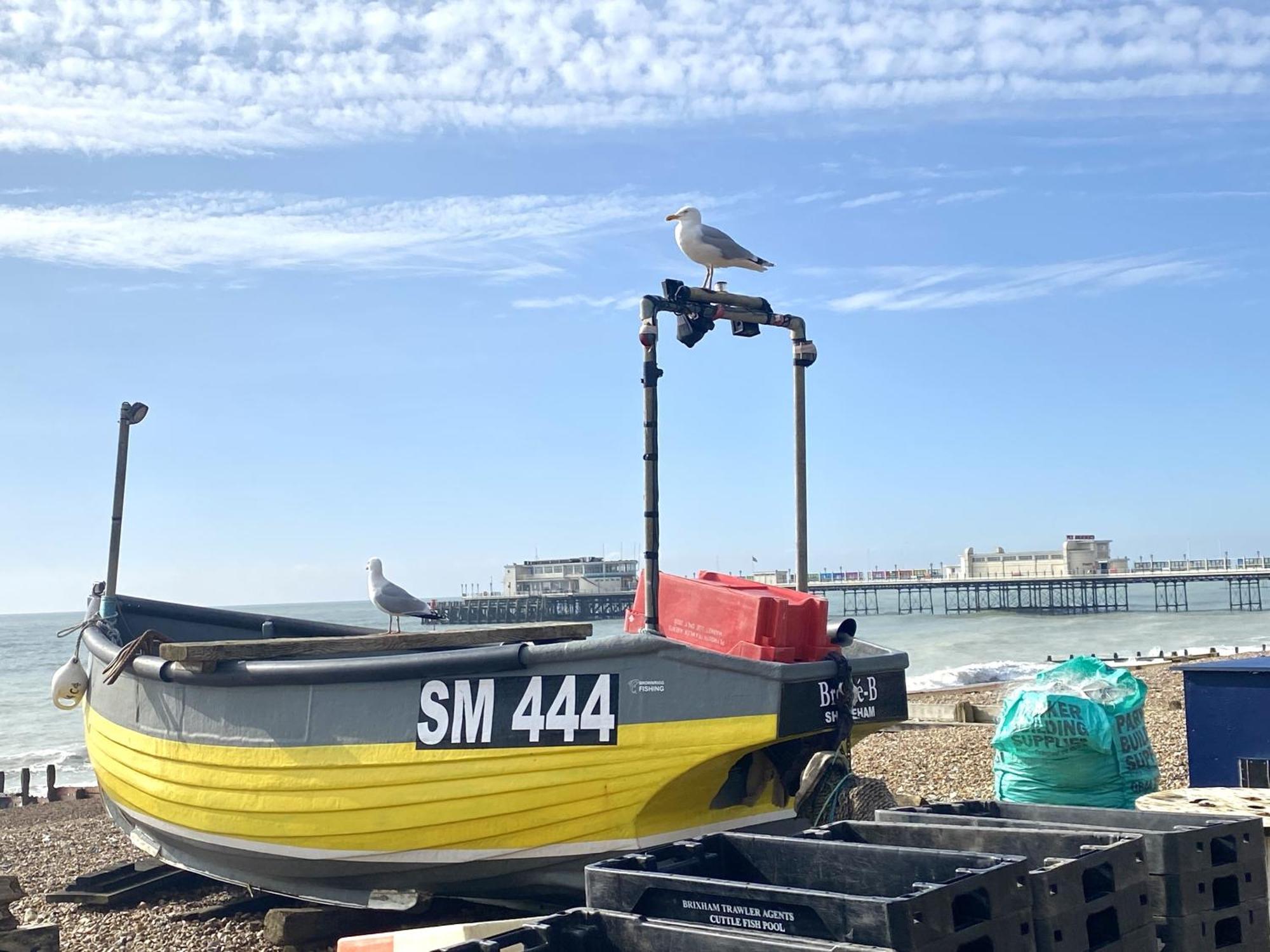 Stunning 2 Bed Apartment Sea Views And Parking Worthing Esterno foto